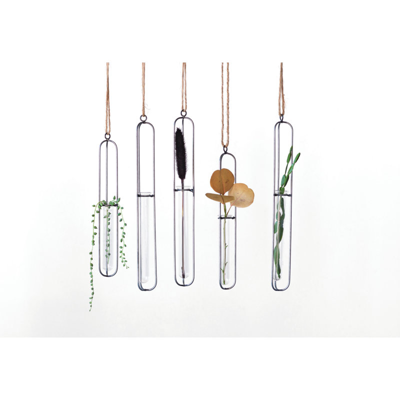 Foundry Select Pelham Hanging Metal Glass Test Tube Wall Vase & Reviews